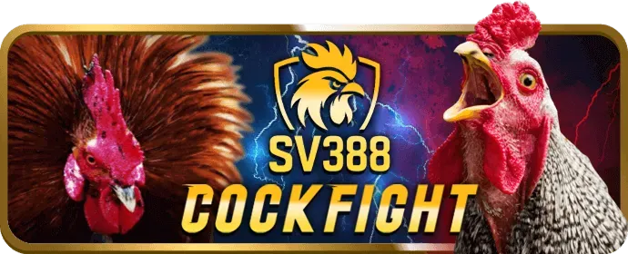 Hoàn trả cược vi88 casino